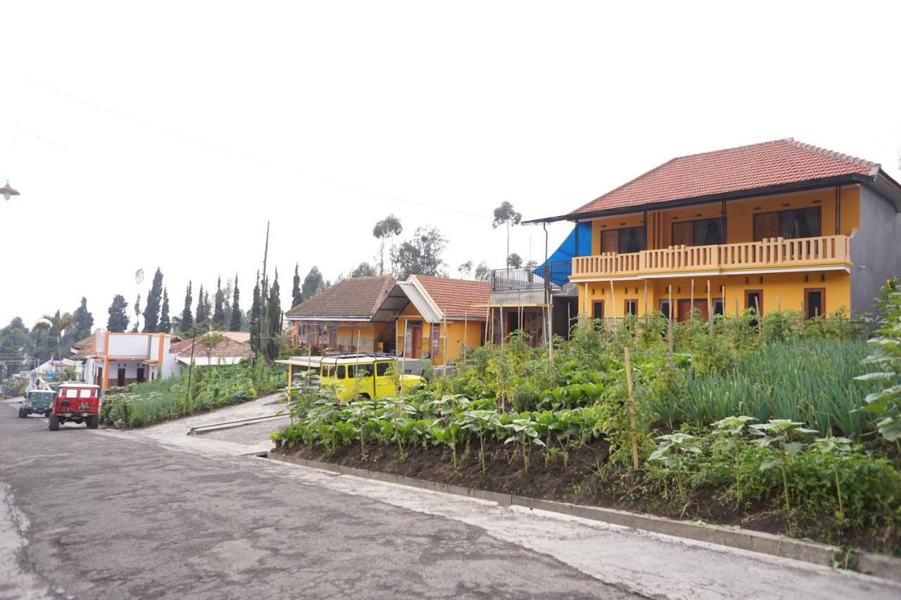 Homestay Lereng Bromo Exterior foto
