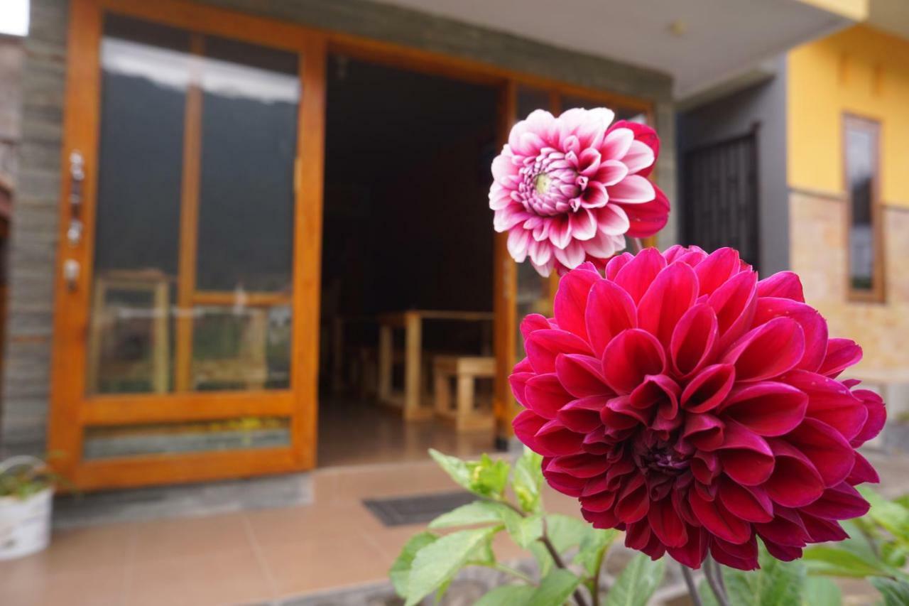 Homestay Lereng Bromo Exterior foto